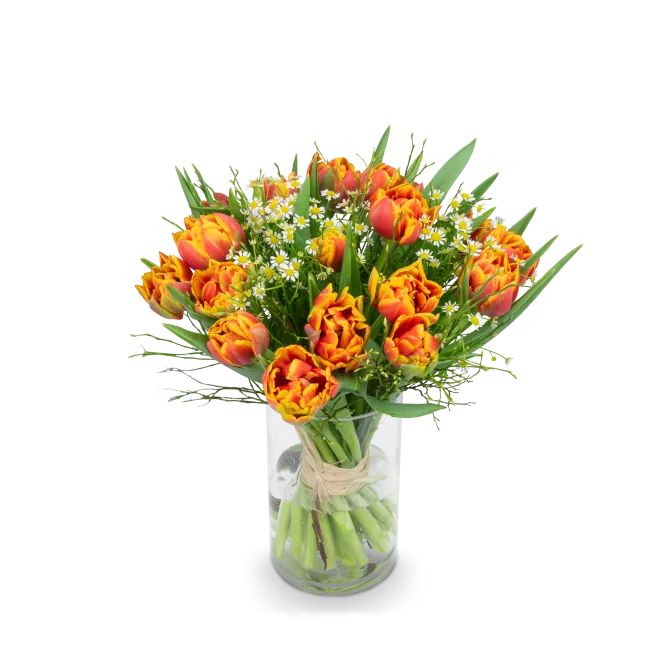 Bouquet of premium tulips